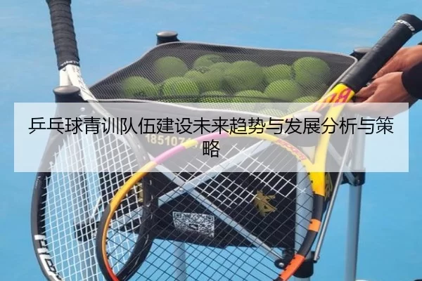 乒乓球青训队伍建设未来趋势与发展分析与策略